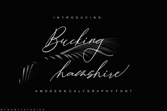 Bucking Hamshire: The Creative Font for Bold Branding