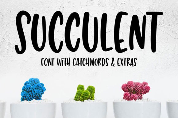Succulent: A Fresh Take on Fun, Hand-Lettered Typography